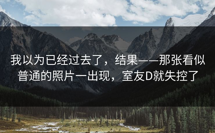 我以为已经过去了，结果——那张看似普通的照片一出现，室友D就失控了