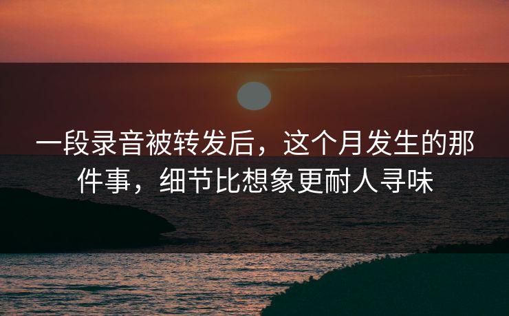 一段录音被转发后，这个月发生的那件事，细节比想象更耐人寻味